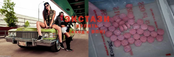 крисы Надым