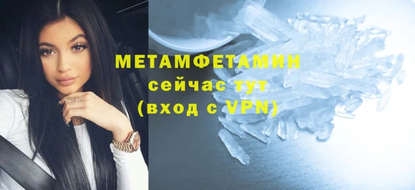 крисы Надым