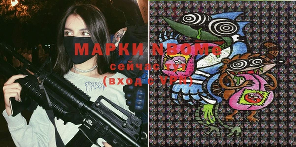 крисы Надым