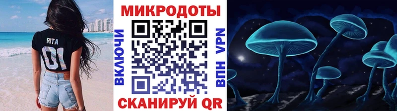 blacksprut tor  Колпашево  Псилоцибиновые грибы Psilocybe  купить  